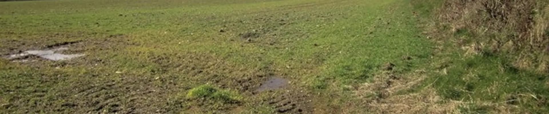 St Teath & Tintagel ward