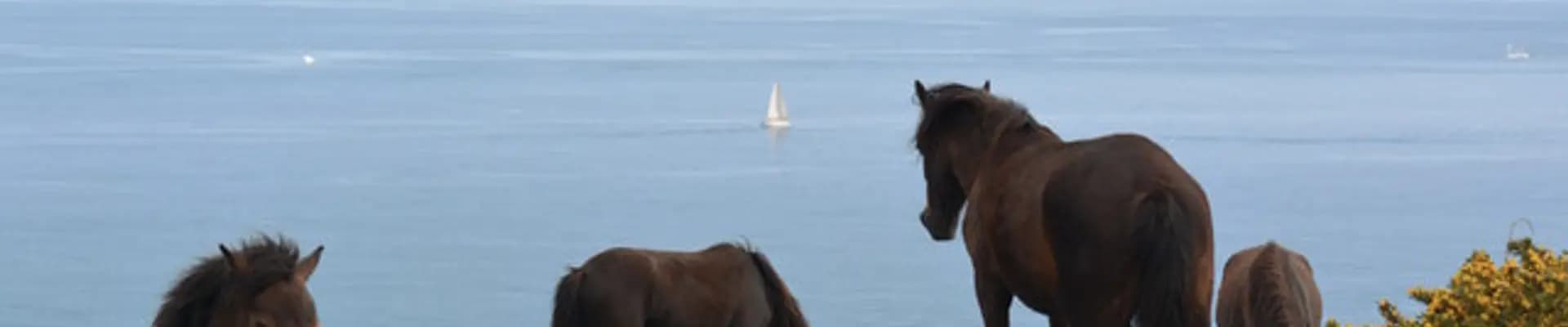 Rame Peninsula & St Germans ward